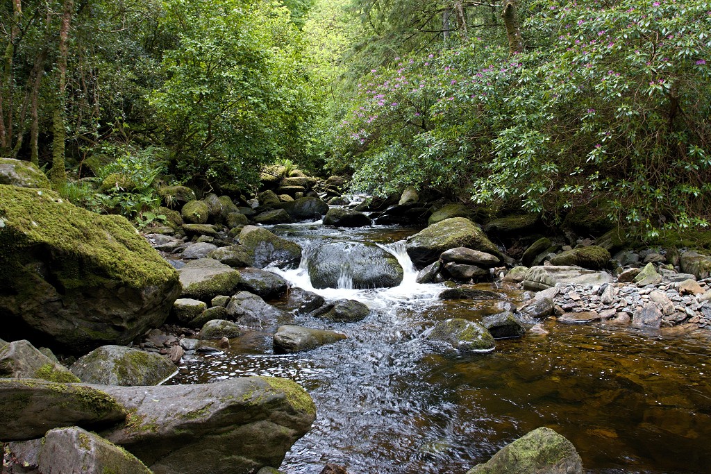 Killarney National Park ierland eire natuur natuurgebied hdr Ladies View Ring of Kerry County irish Lough Leane lake